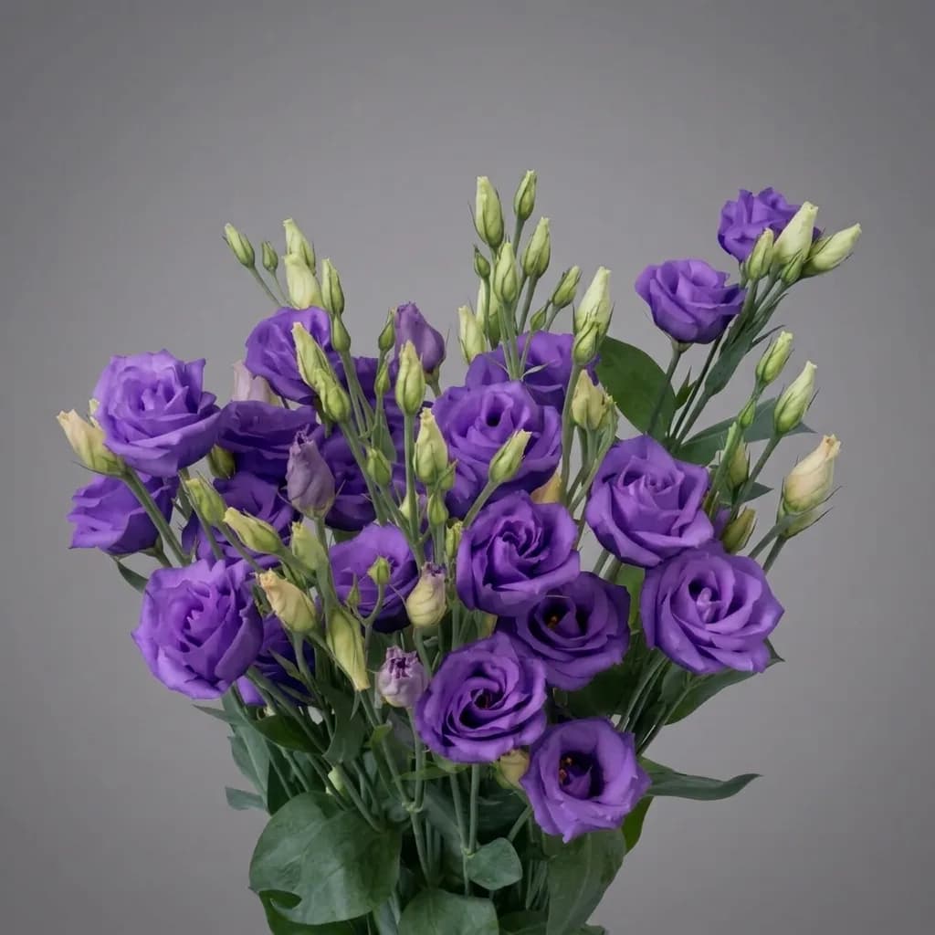 Lizante violetā