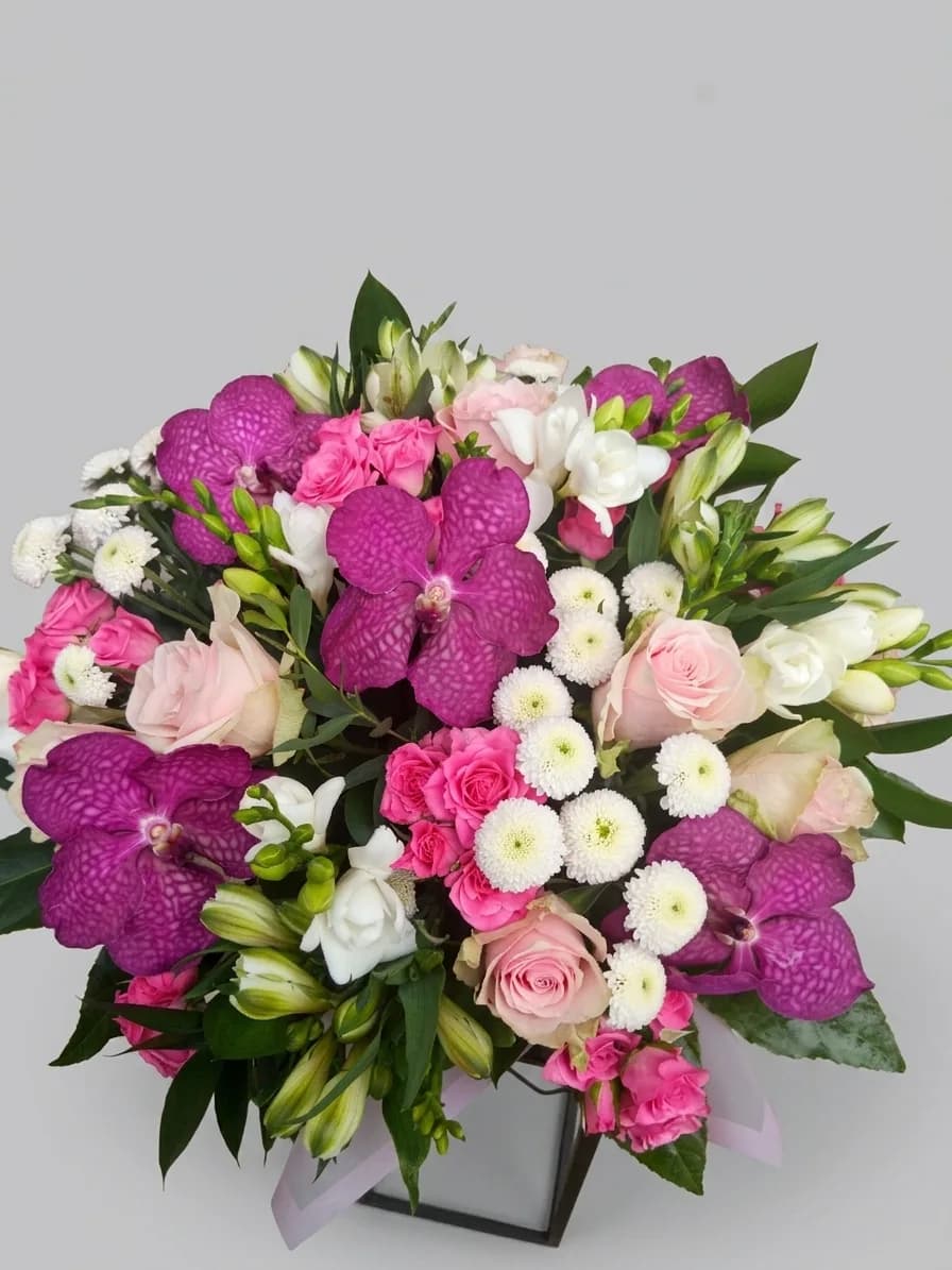 Karaliskais violets